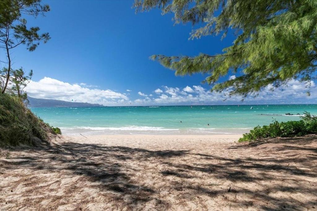 Unit 2 Maui Ohana Modern Studio ワイルク エクステリア 写真